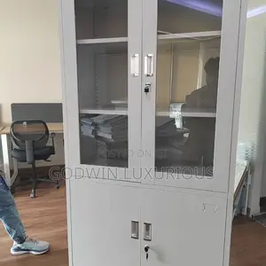 Filling Metal Cabinet