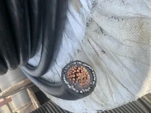 500mmx1core Armored Cable Nigerchin