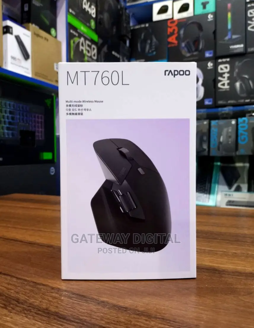 Rapoo MT760L Multi-Mode Wireless Mouse_low Budget Mxmaster