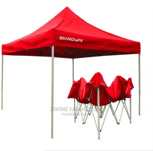 Importer Foldable Canopy/Gazebo 10 by 10 Feet
