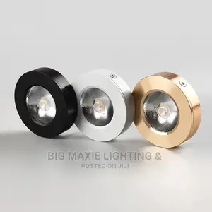 Surface Mounting Lights