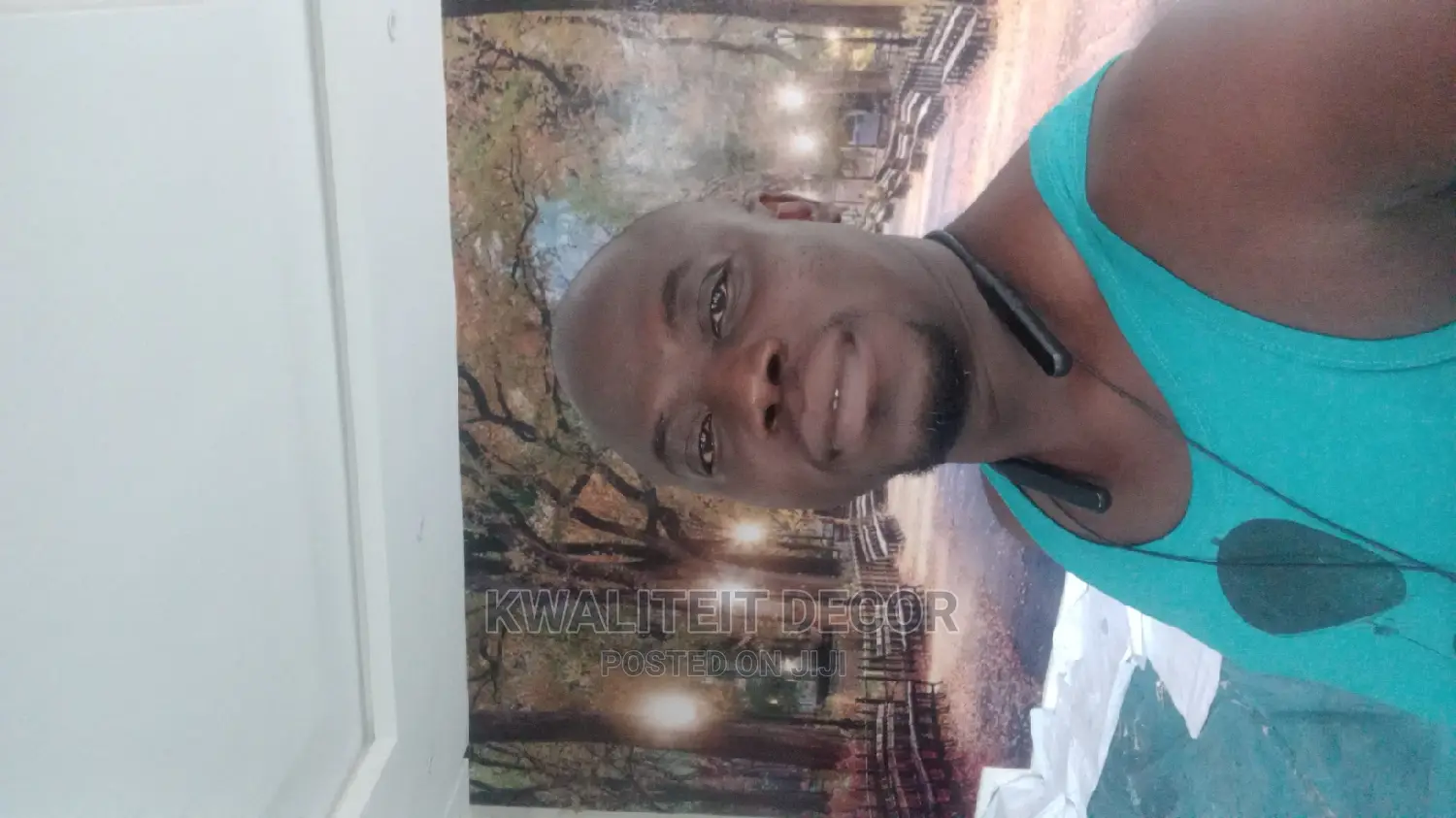 Wall Mural Installation