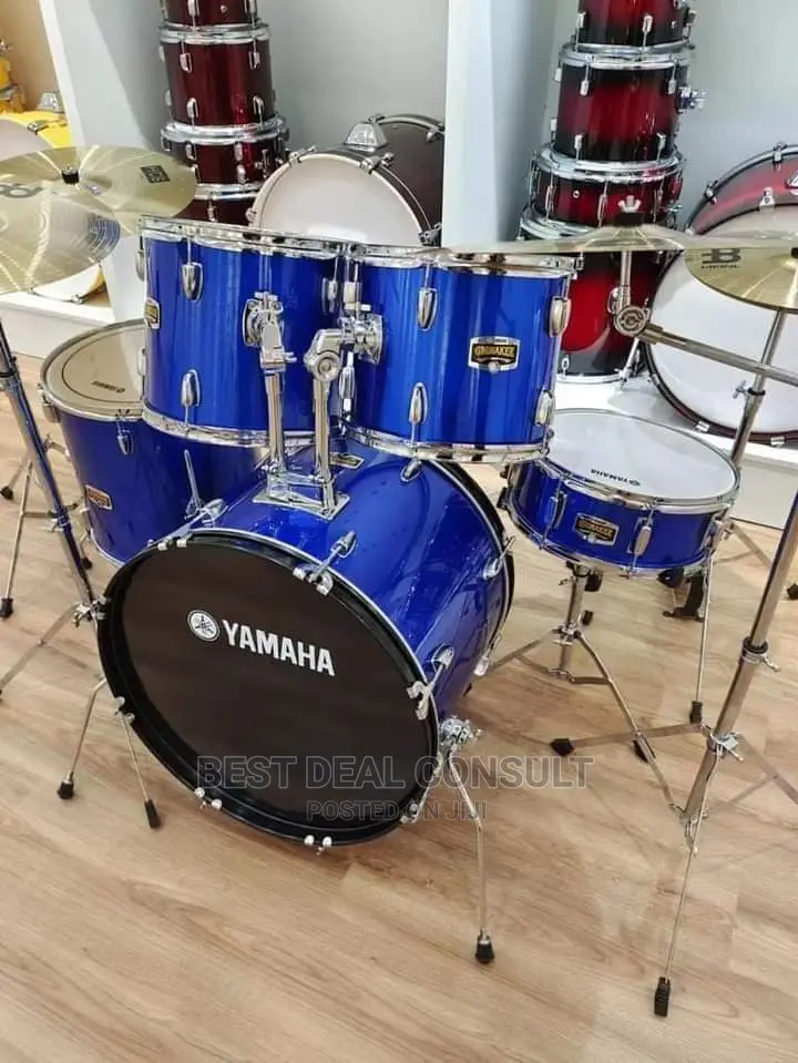 Professional Drum Set