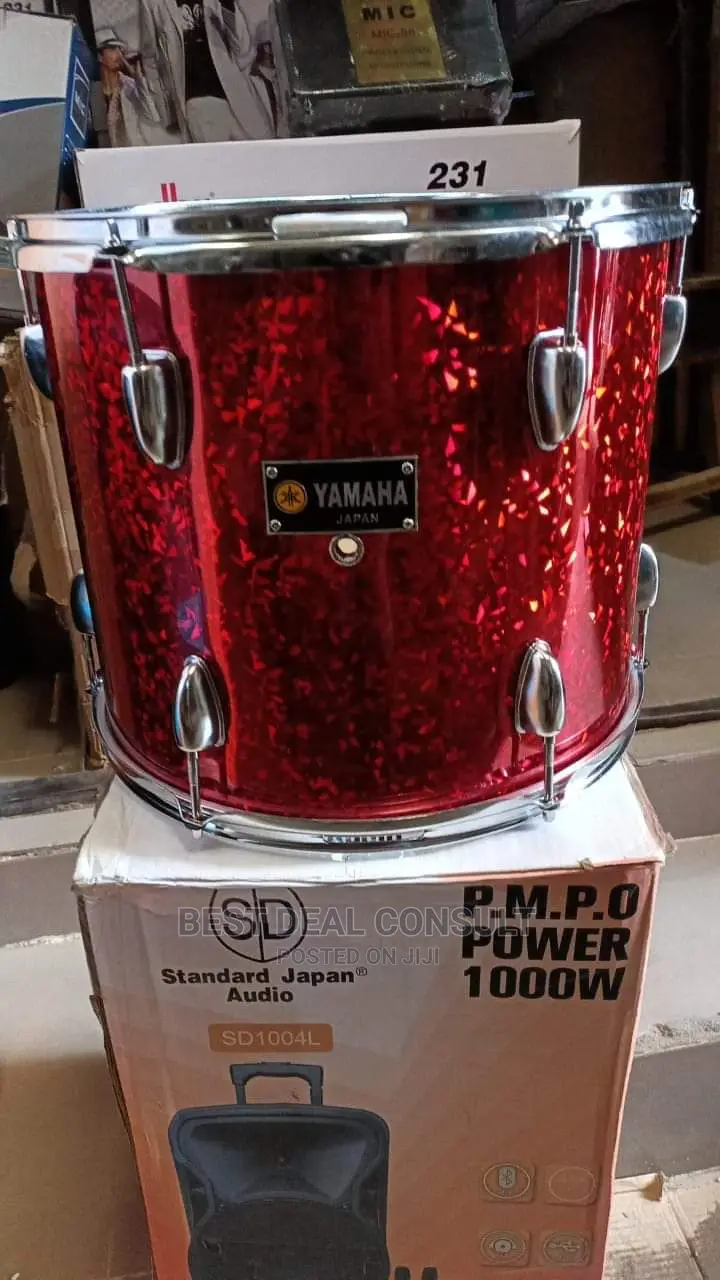 Professional Drum Set