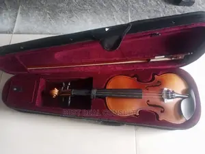 Professional Violin