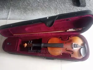 Professional Violin