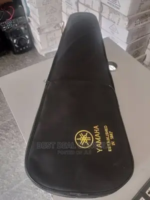 Professional Violin