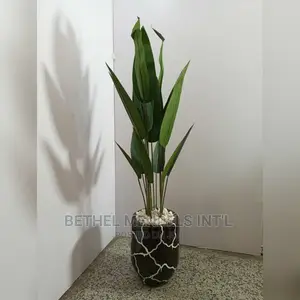 Bulk Sale of Combo Artificial Plant/Fiberglass Vase in Abuja