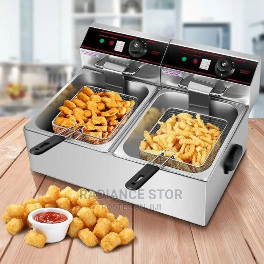 Double Electric Deep Fryer