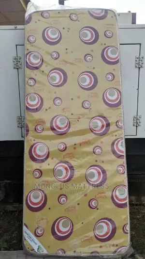 2.5 Ft by 6 by 6 Inches Mouka Student Bed