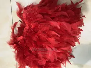 Bush Feathers