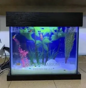 2ft Aquarium