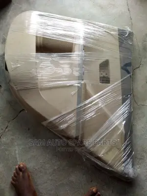 Toyota Venza Door Mat Back Left 2015 Model