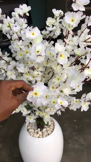 Cherry Blossom Long Flower