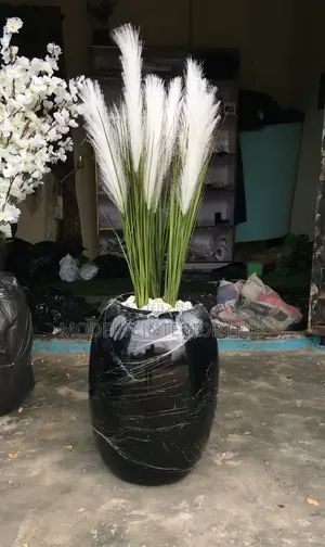 Beautiful Black Flower Verse