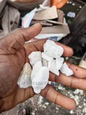 White Stone Cheeps