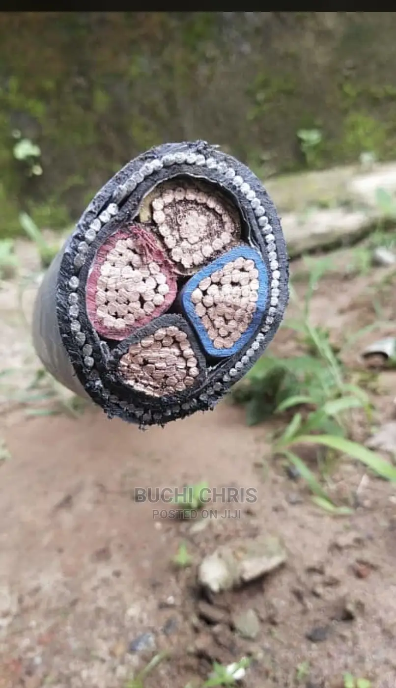 150mmx4core Armored Cable Nigerchin