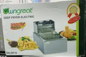 6L Single Electric Deep Fryer