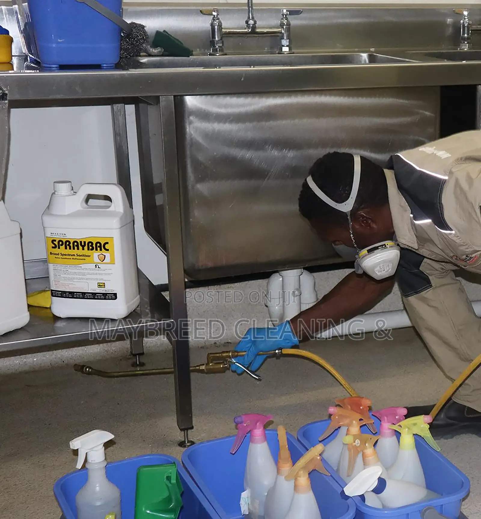 Fumigation, Bedbug Extermination