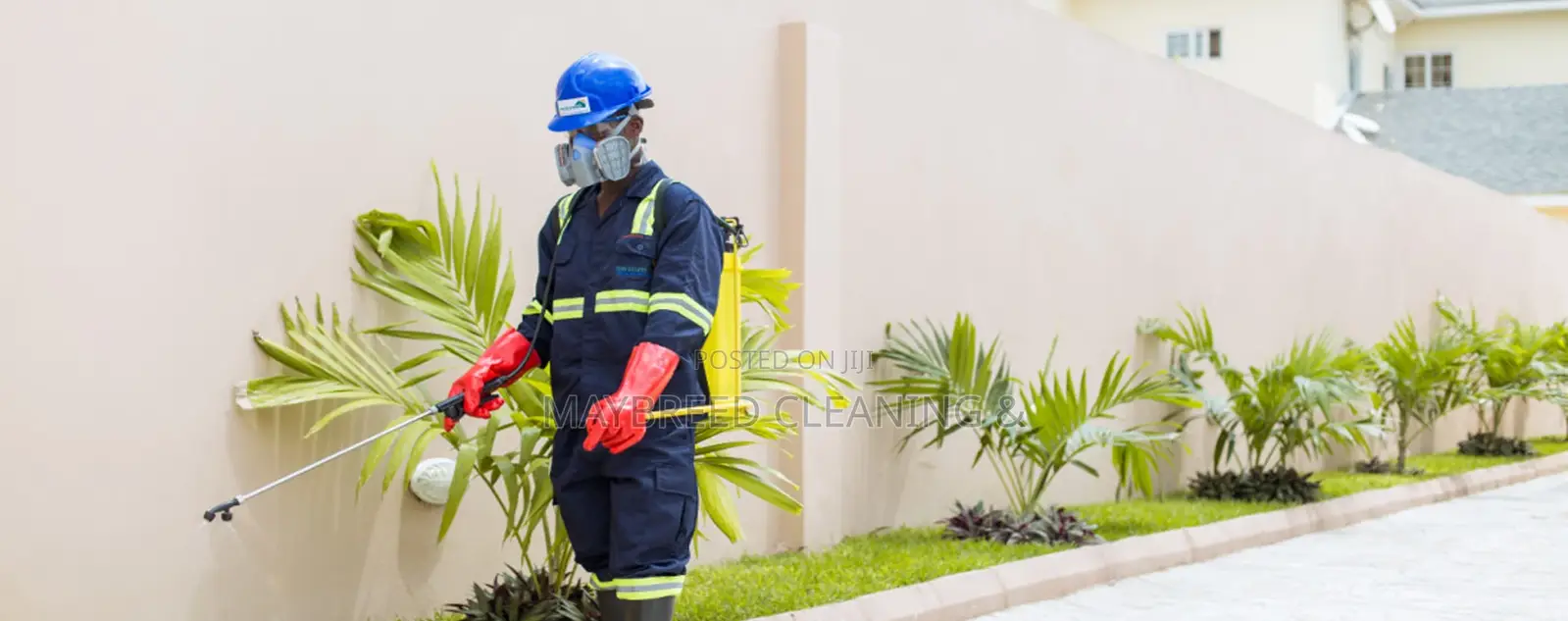 Massive Fumigation Service