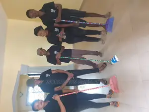 Train Janitorial