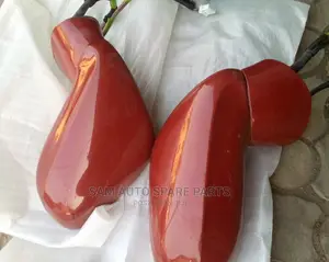 Lexus ES 350 Side Mirror 2010 Model