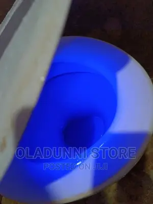 Toilet Sterilizer