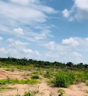 Affordable Land Half Plot.
