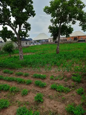 Mixed Used Land for Sale, 1000sqm