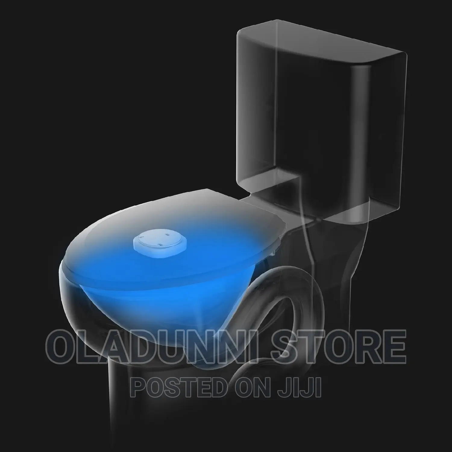 Toilet Sterilizer