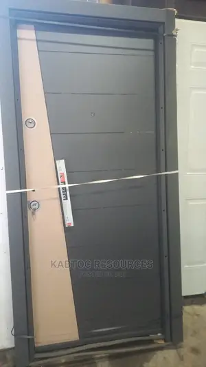 Metal Luxury Doors