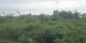 Commercial Land at Major Sars Rd