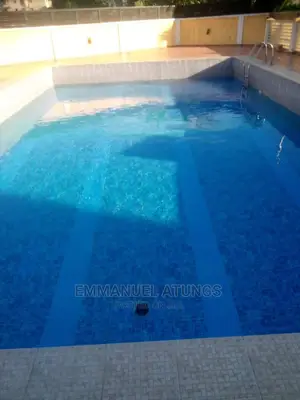 Swimming Pool Treatment and Maintenance