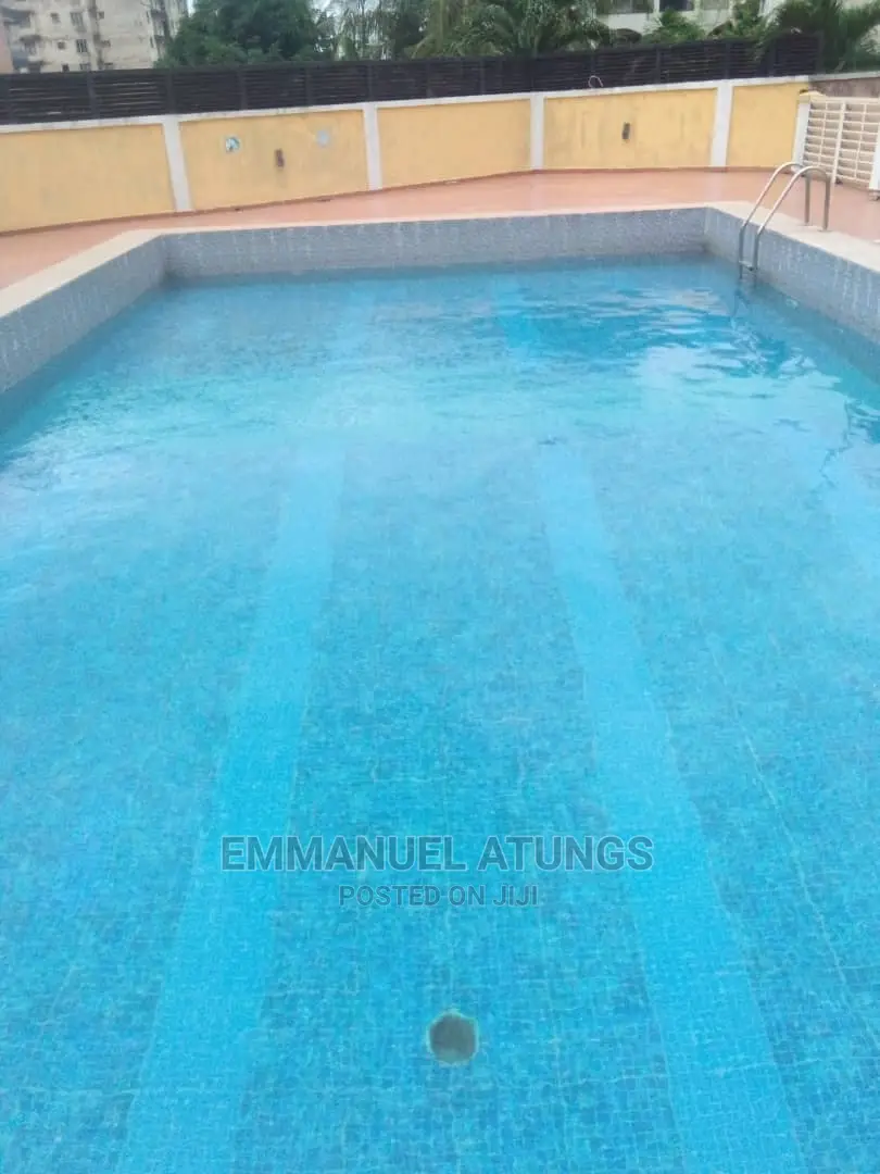 Swimming Pool Treatment and Maintenance