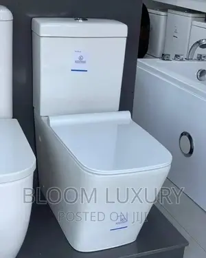 Seat and Tank Toilet