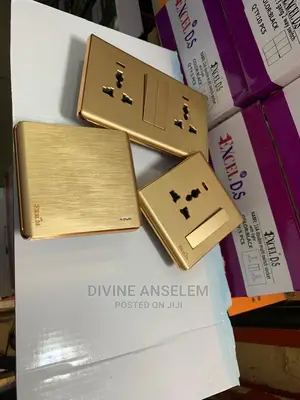 Luxury Socket and Switches