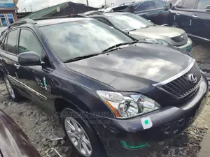 Lexus RX 350 AWD 2009 Gray