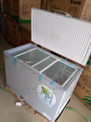 Original Bona Solar Freezer 350L With 2yrs Company Guarant