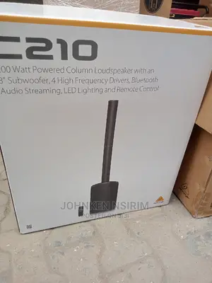 Original Behringer C210 Column Speakers