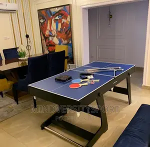2 in 1 Foldable Snooker and Table Tennis