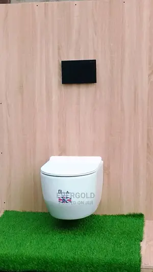 England Wall Hung Water Closet Eagle Standard Available Now