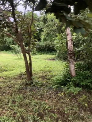 Buy 2500 Acres at Cheaper Price From a Secure Location