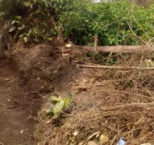 Plots of Land for Sale Om Gerald Rd, Ikoyi