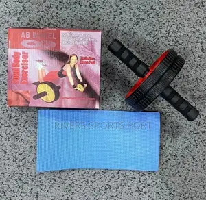 Home Gym Exercise Fitness Abdominal Dual Ab Wheel Roller