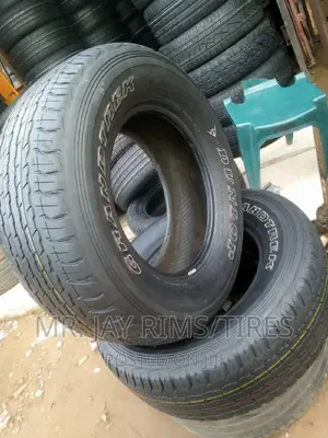 High Quality Belgium Dunlop Grantrek Tires