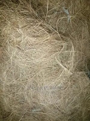 Treated Coconut Fiber. 14kg Weight.