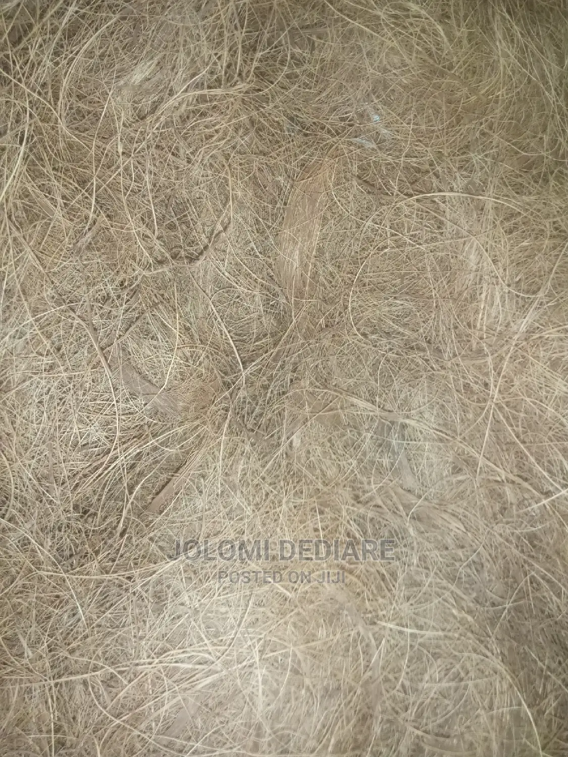Treated Coconut Fiber. 14kg Weight.