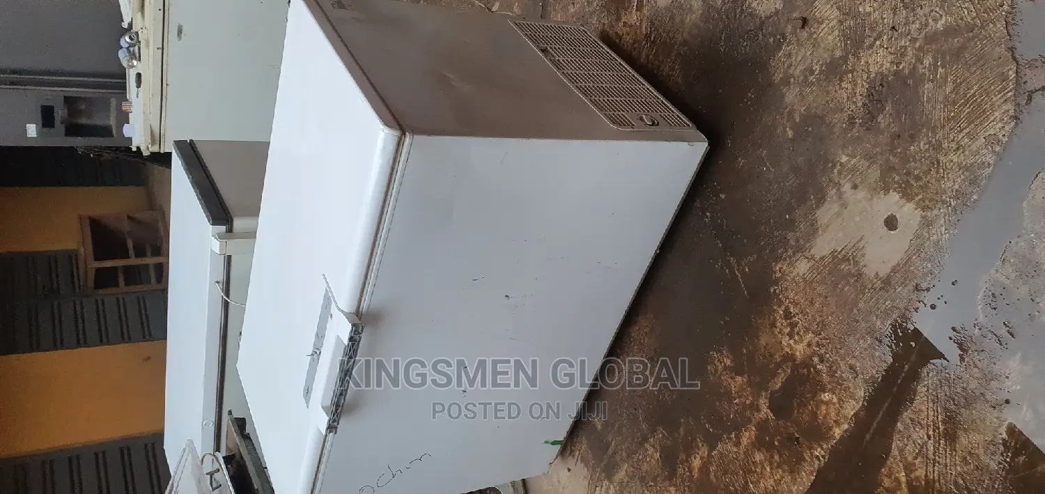 Deep Freezer for Frozen Food