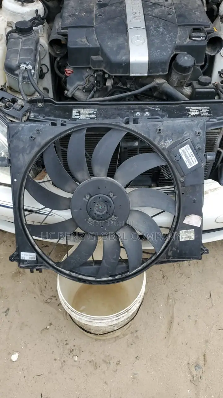 Fan All Types