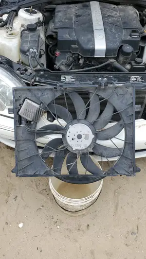 Fan All Types